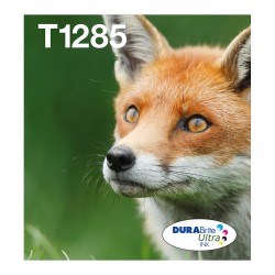Epson Original Easy Mail Packing T1285 Fuchs Druckerpatronen 4er Multipack BK C M Y (C13T12854511)