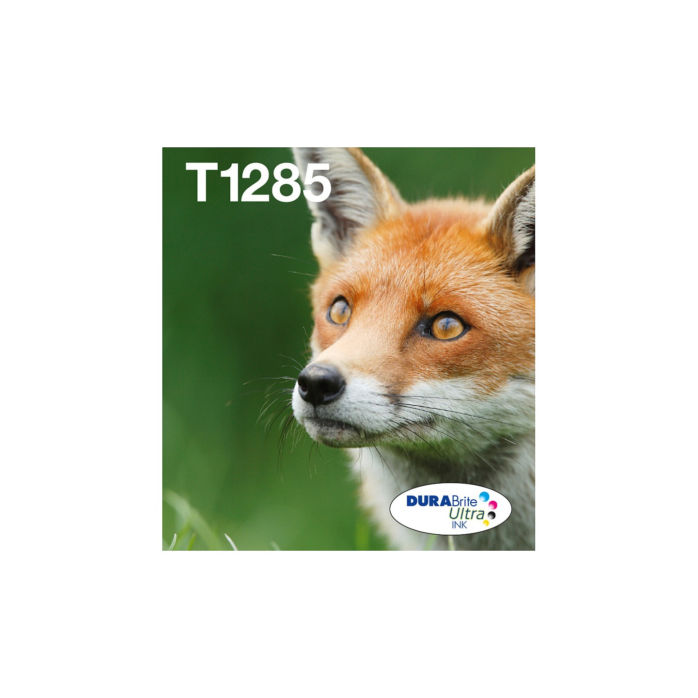 Epson Original Easy Mail Packing T1285 Fuchs Druckerpatronen 4er Multipack BK C M Y (C13T12854511)