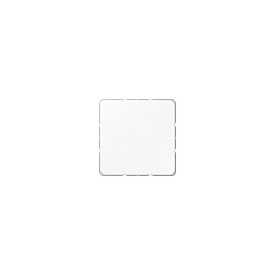 Jung CD 594-0 WW Blindabdeckung mit Tragring.Schraubbefest. — Buy in Cyprus with Fast Delivery