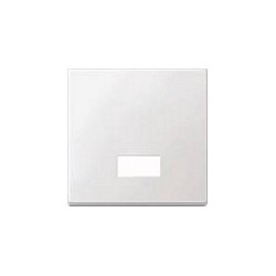 MERTEN 433819 Wippe für Schalter. Symbolfenster pws SYSTEM M — Buy in Cyprus with Fast Delivery