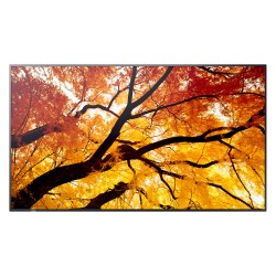 Sharp M862 Digital Signage Display 217.2 cm 86 Zoll — Buy in Cyprus with Fast Delivery