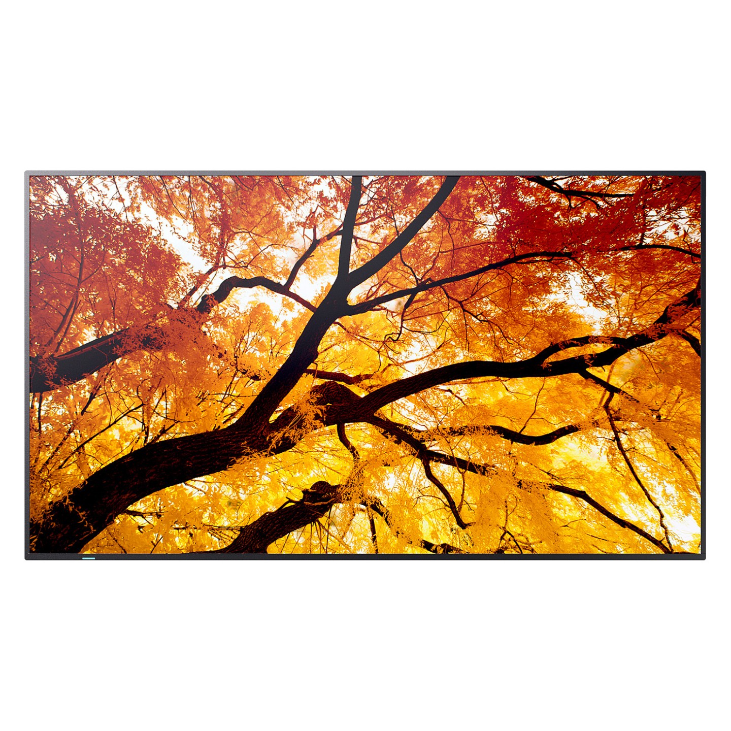 Sharp M862 Digital Signage Display 217.2 cm 86 Zoll — Buy in Cyprus with Fast Delivery