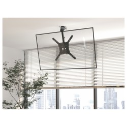 Equip Deckenhalterung 23'-55' 1TFT 20kg fest sw retail — Buy in Cyprus with Fast Delivery