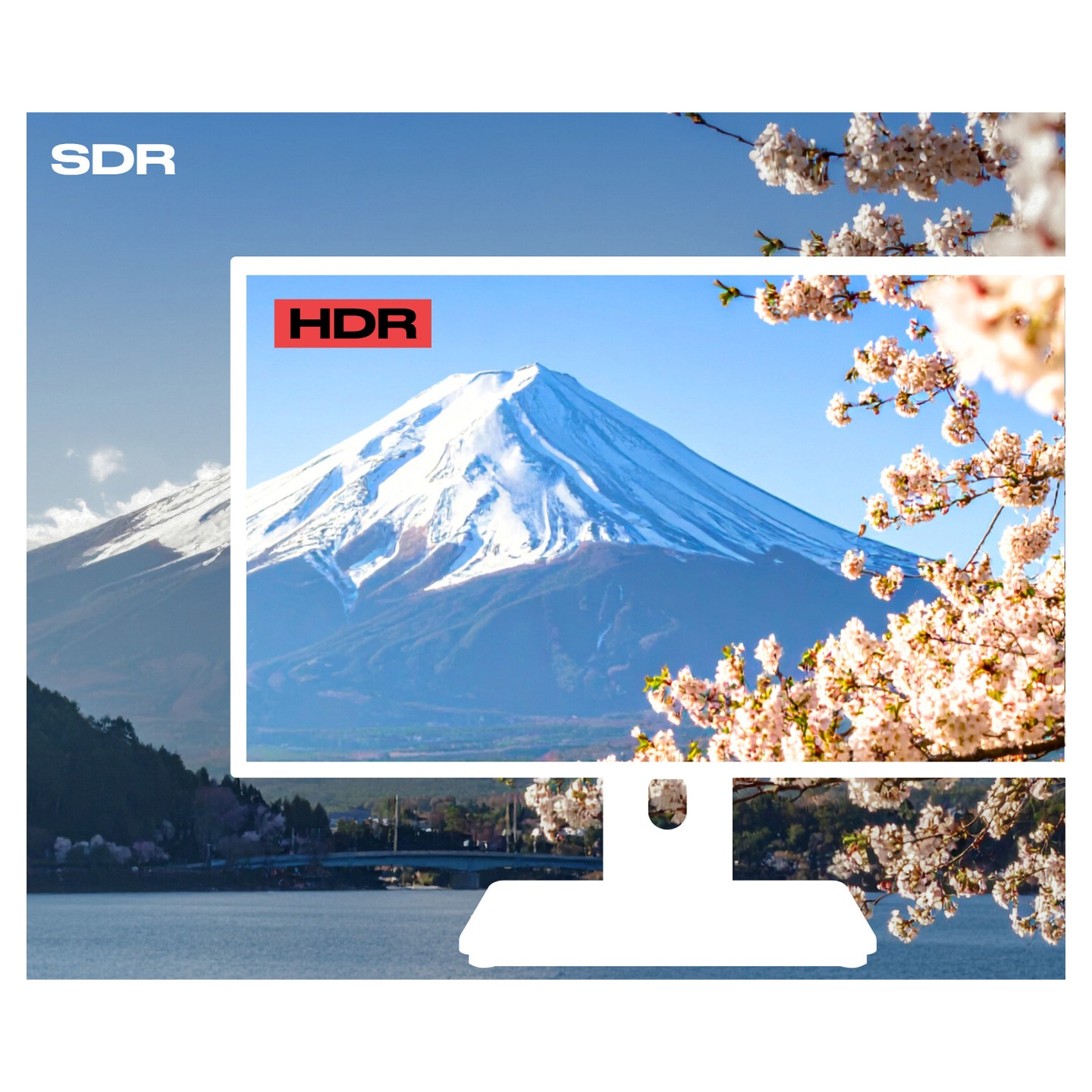 JapanNext FHD Touchscreen Monitor 54.61cm (21.5') — Buy in Cyprus with Fast Delivery