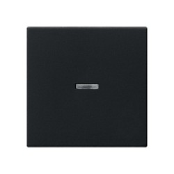 GIRA 0290005 Wippe Kontrollf. System 55 Schwarz — Buy in Cyprus with Fast Delivery