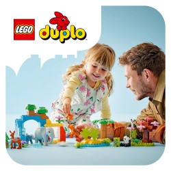 LEGO 10460 DUPLO Bauplatte in Grn — Buy in Cyprus with Fast Delivery