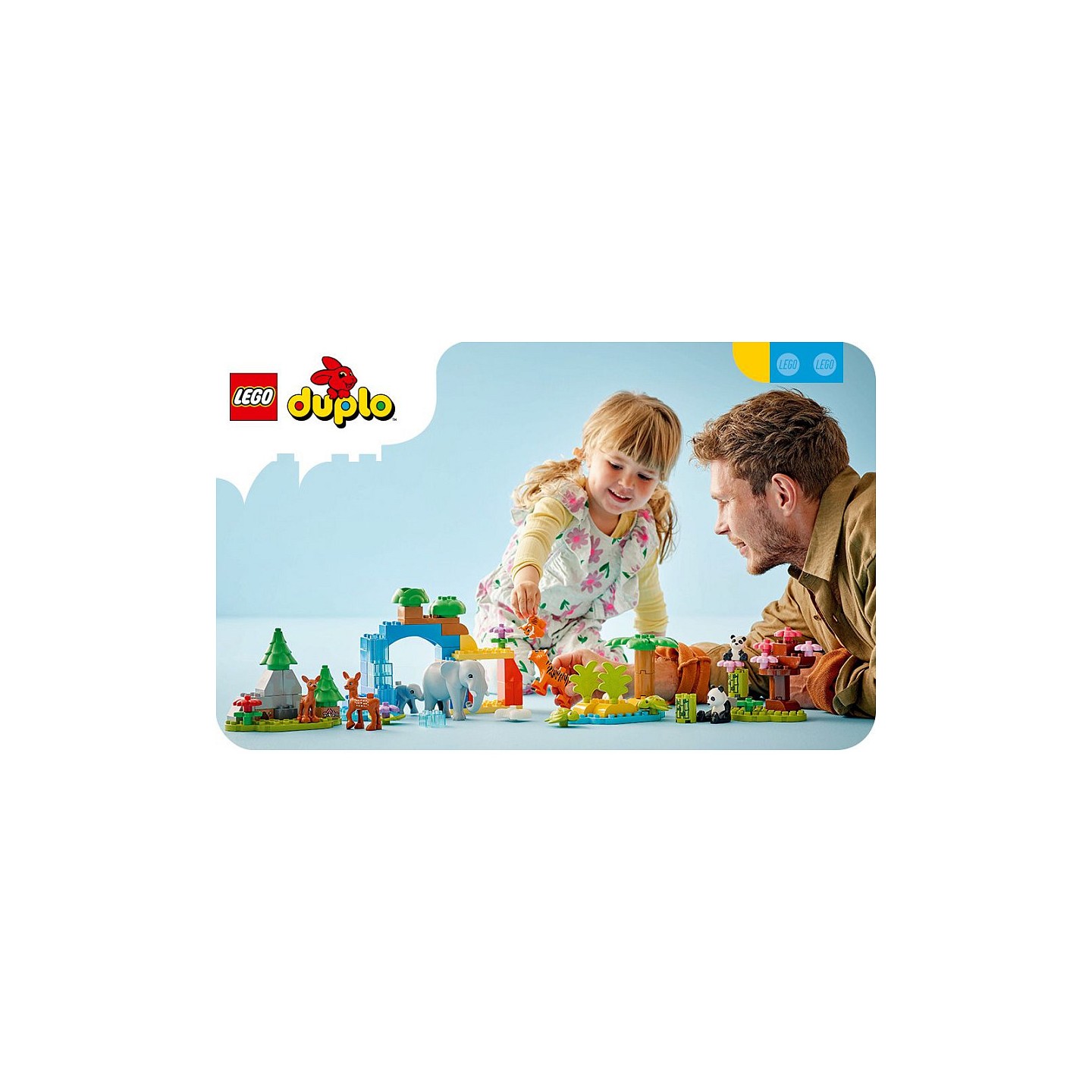 LEGO 10460 DUPLO Bauplatte in Grn — Buy in Cyprus with Fast Delivery