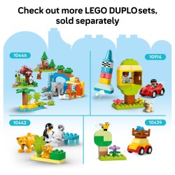 LEGO 10460 DUPLO Bauplatte in Grn — Buy in Cyprus with Fast Delivery