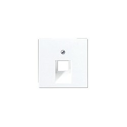 Jung A569-1BFPLUAWW Abdeckung f IAE UAE-Anschluss — Buy in Cyprus with Fast Delivery