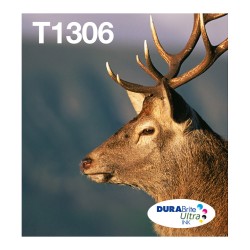 Epson Original Easy Mail Packing T1306 Hirsch Druckerpatronen 3er Multipack C M Y (C13T13064510)