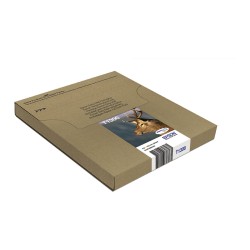 Epson Original Easy Mail Packing T1306 Hirsch Druckerpatronen 3er Multipack C M Y (C13T13064510)