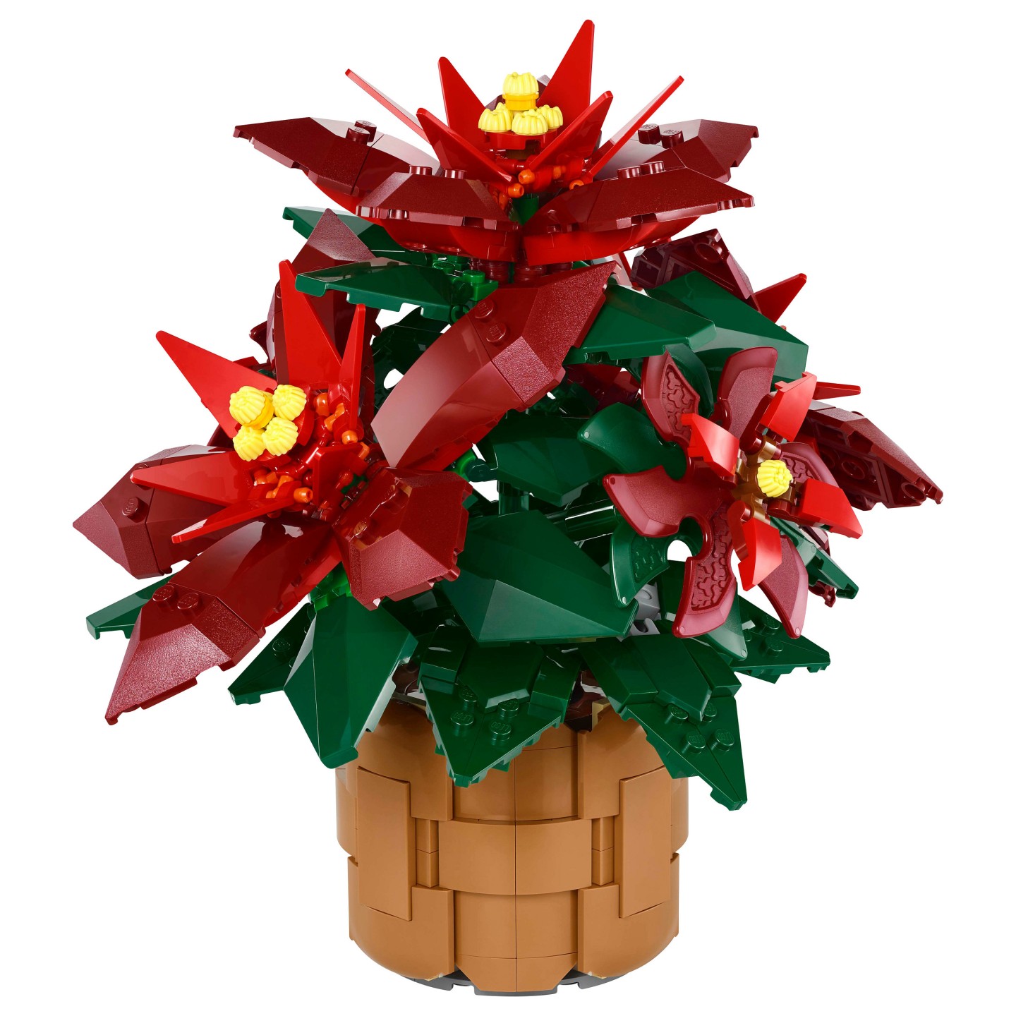 LEGO 10370 Icons Weihnachtsstern — Buy in Cyprus with Fast Delivery