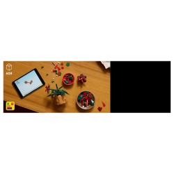LEGO 10370 Icons Weihnachtsstern — Buy in Cyprus with Fast Delivery