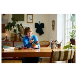 LEGO 10370 Icons Weihnachtsstern — Buy in Cyprus with Fast Delivery
