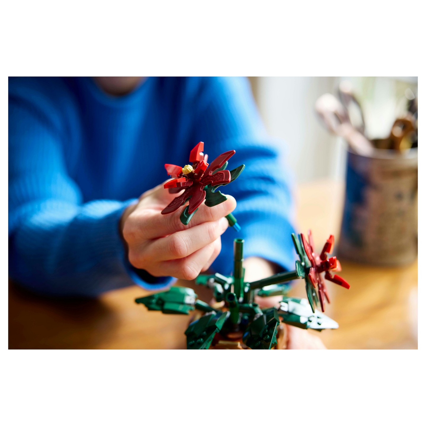 LEGO 10370 Icons Weihnachtsstern — Buy in Cyprus with Fast Delivery