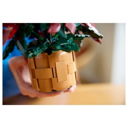 LEGO 10370 Icons Weihnachtsstern — Buy in Cyprus with Fast Delivery