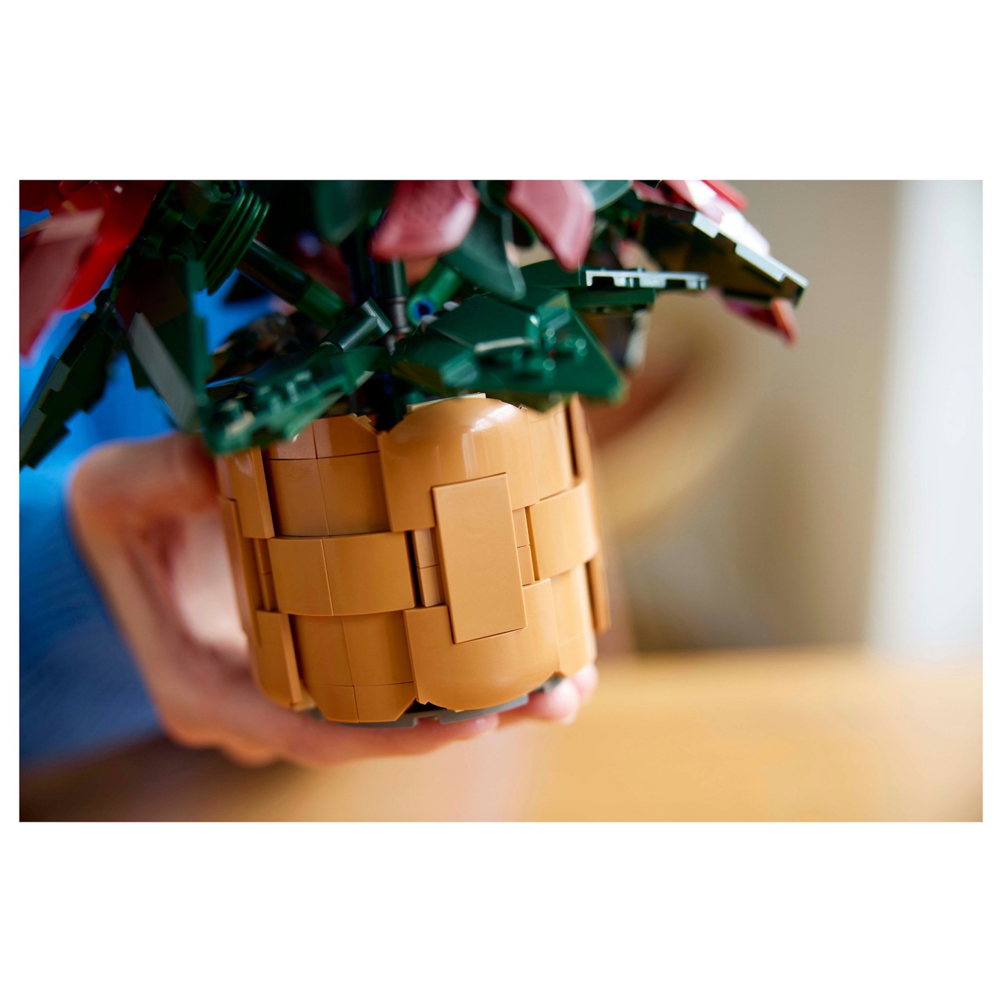 LEGO 10370 Icons Weihnachtsstern — Buy in Cyprus with Fast Delivery