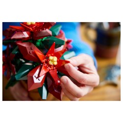 LEGO 10370 Icons Weihnachtsstern — Buy in Cyprus with Fast Delivery