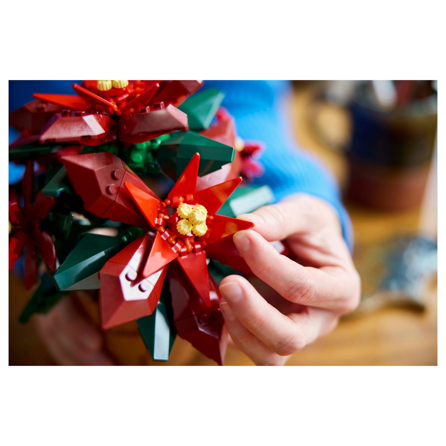 LEGO 10370 Icons Weihnachtsstern — Buy in Cyprus with Fast Delivery