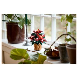 LEGO 10370 Icons Weihnachtsstern — Buy in Cyprus with Fast Delivery