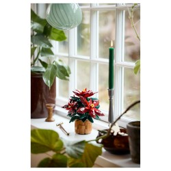 LEGO 10370 Icons Weihnachtsstern — Buy in Cyprus with Fast Delivery