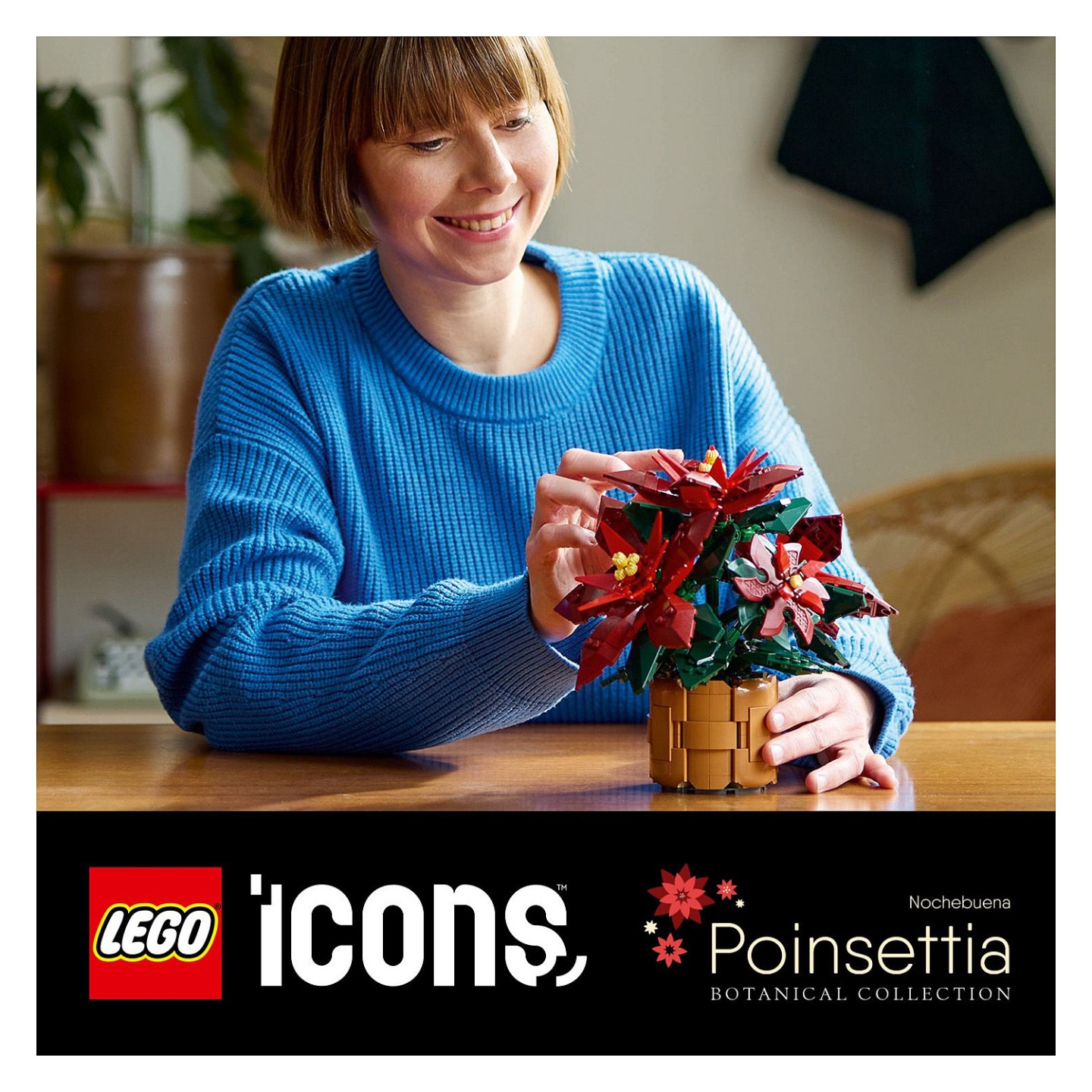 LEGO 10370 Icons Weihnachtsstern — Buy in Cyprus with Fast Delivery