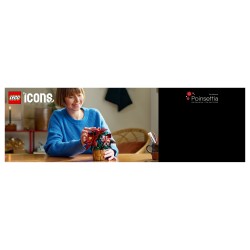 LEGO 10370 Icons Weihnachtsstern — Buy in Cyprus with Fast Delivery