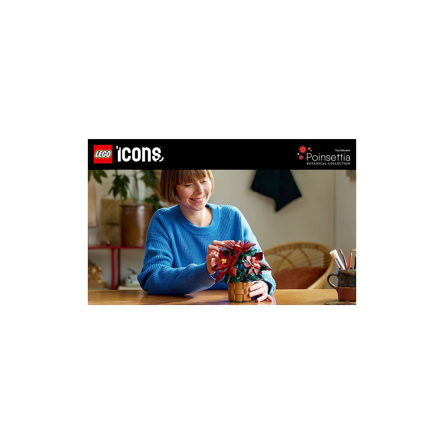 LEGO 10370 Icons Weihnachtsstern — Buy in Cyprus with Fast Delivery