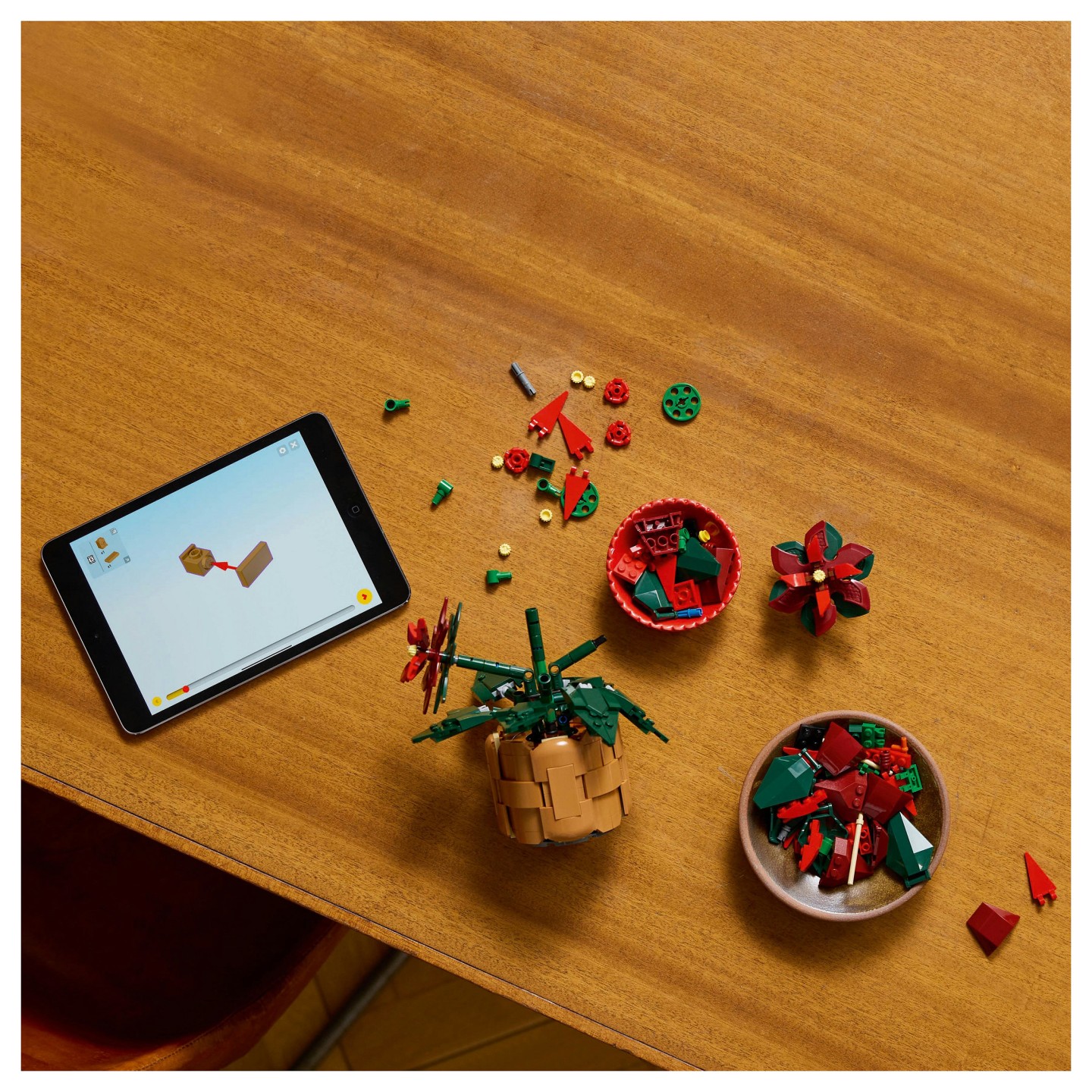 LEGO 10370 Icons Weihnachtsstern — Buy in Cyprus with Fast Delivery
