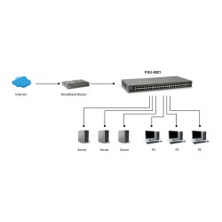 Switch 50x FE FGU-5021 2xGSFP 19' — Buy in Cyprus with Fast Delivery