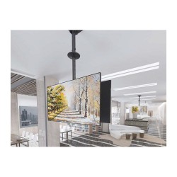 Equip Deckenhalterung 39'-75' 2TFT je 40kg 2Gelenke neig. sw lite Retail — Buy in Cyprus with Fast Delivery