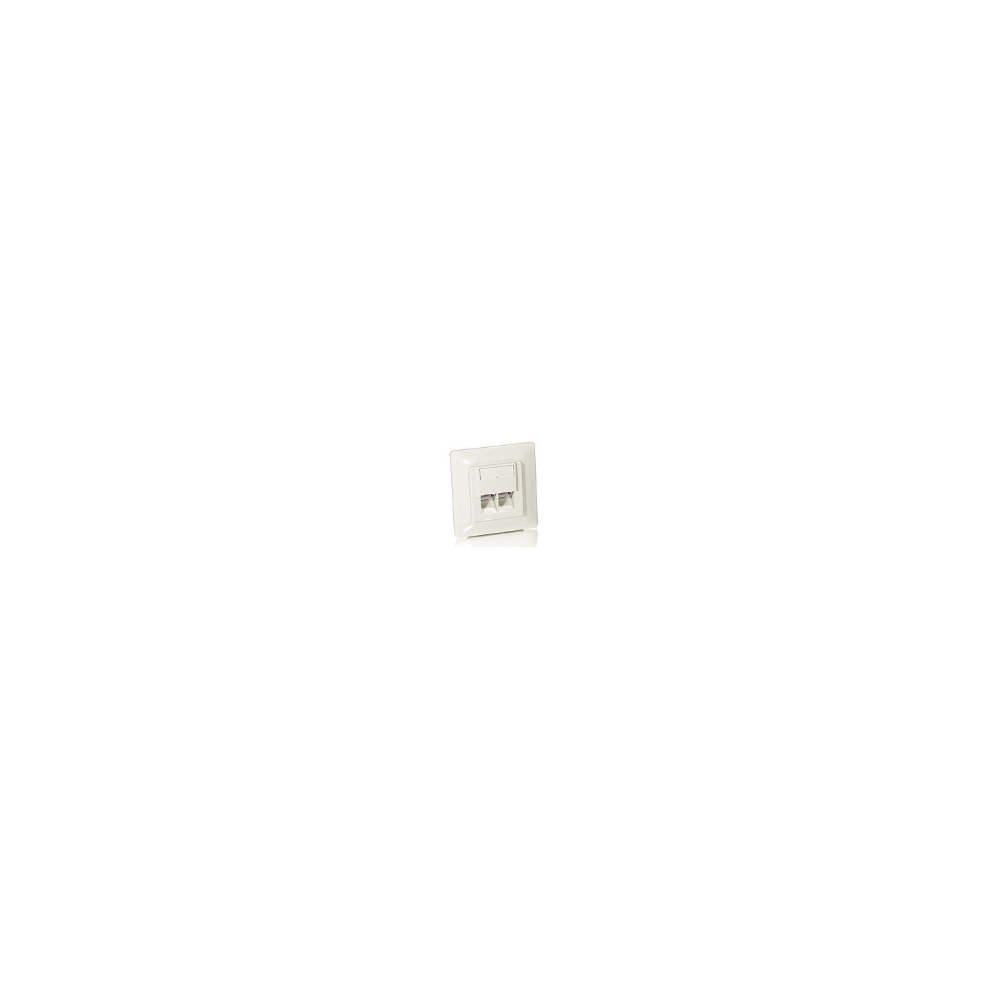 Equip RJ45 Dose 2xRJ45 Cat5e Inputz RAL 9010 Reinweiß — Buy in Cyprus with Fast Delivery