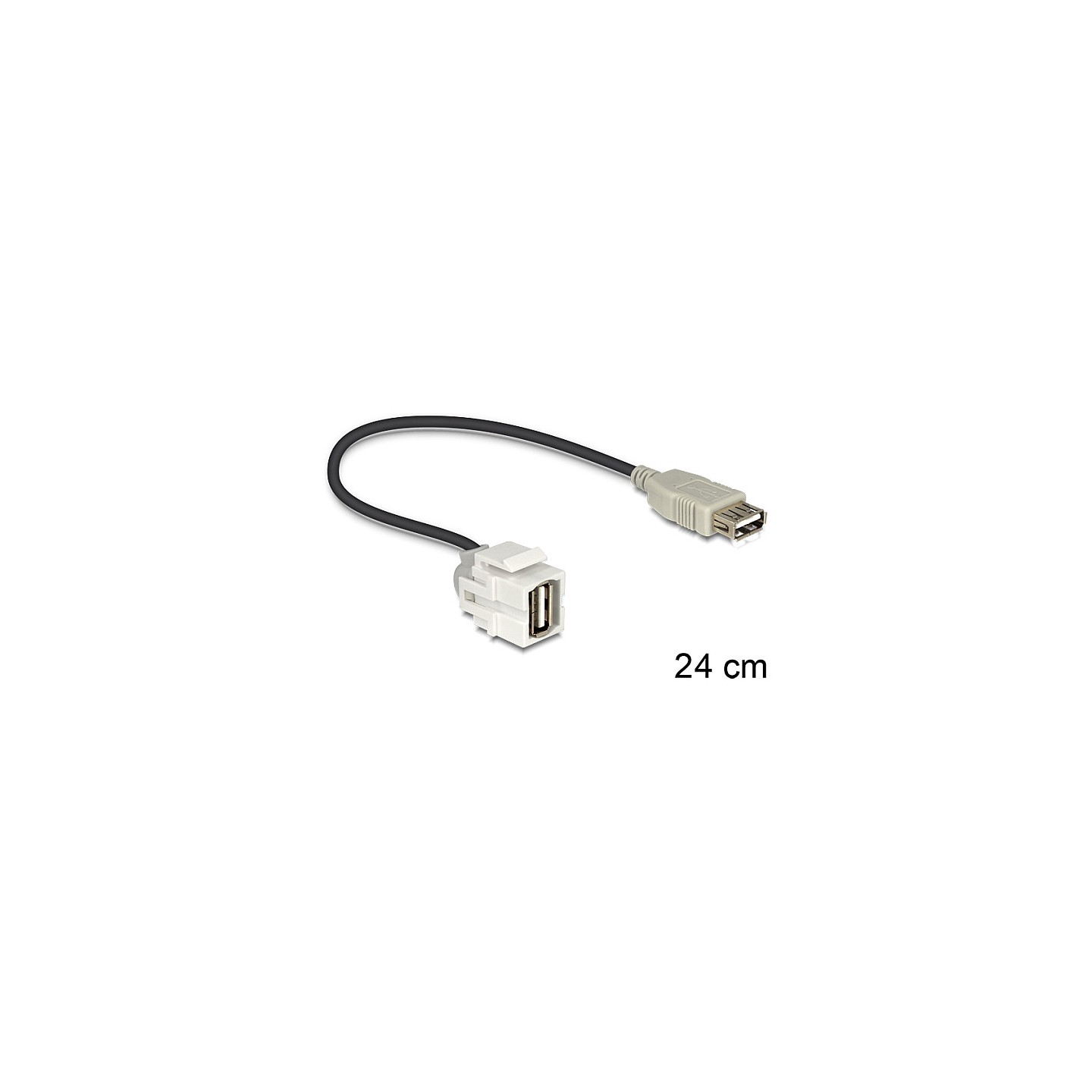 DELOCK Keystone Modul USB 2.0 A Buchse 250 to USB 2.0 A Buchse mit Kabel weiss — Buy in Cyprus with Fast Delivery