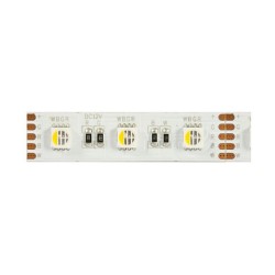 Synergy 21 LED Flex Strip 5050 - 60 RGB DC24V + RGB-W one chip ww IP68 — Buy in Cyprus with Fast Delivery
