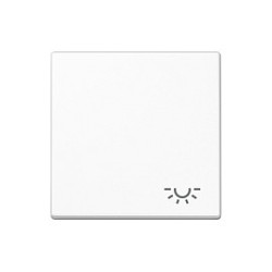 Jung A 590 L WW Wippe mit Licht-Symbol — Buy in Cyprus with Fast Delivery