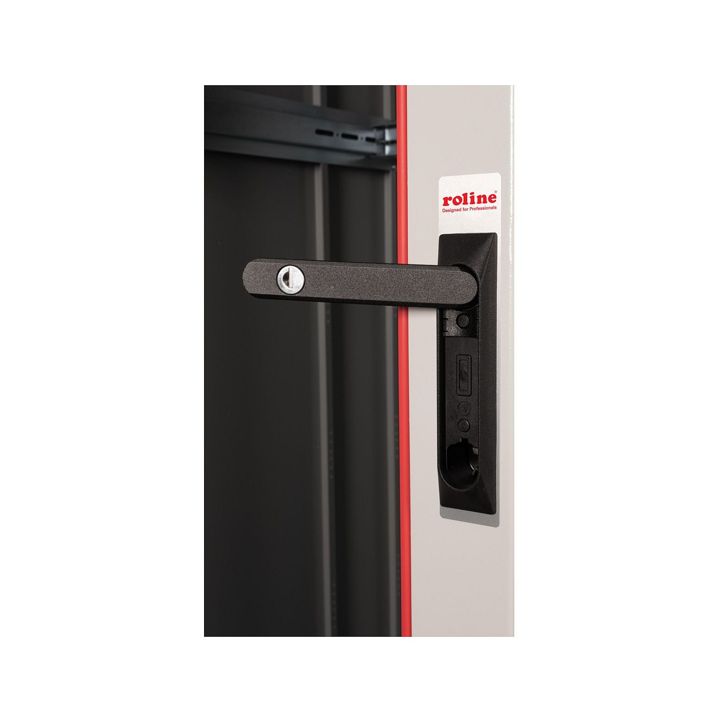 ROLINE 19-Zoll Netzwerkschrank Basic 42 HE. 800x1000 BxT Glastr grau — Buy in Cyprus with Fast Delivery