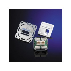 Telegärtner Dose AMJ45 UP 50 2 x RJ-45 Kat.6 Class E alpinweiss — Buy in Cyprus with Fast Delivery