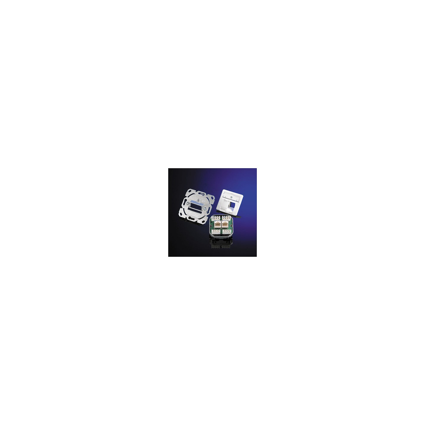 Telegärtner Dose AMJ45 UP 50 2 x RJ-45 Kat.6 Class E alpinweiss — Buy in Cyprus with Fast Delivery