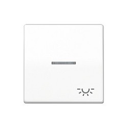Jung AS 591 KO5L WW Wippe Kontroll mit Licht-System — Buy in Cyprus with Fast Delivery