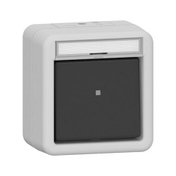 GIRA 315630 Wipptaster Wechsler BSF WG AP Grau — Buy in Cyprus with Fast Delivery