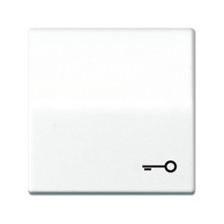 Jung AS 591 T WW Wippe mit Tür-symbol — Buy in Cyprus with Fast Delivery