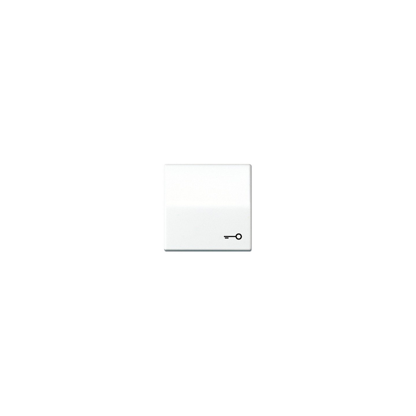 Jung AS 591 T WW Wippe mit Tür-symbol — Buy in Cyprus with Fast Delivery
