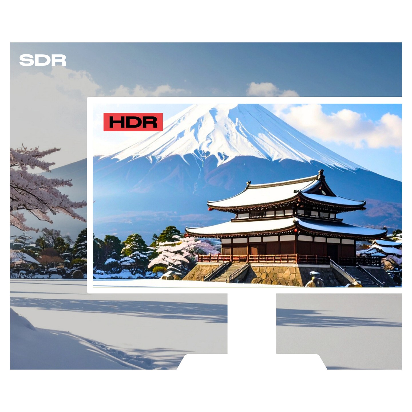 JapanNext FHD Touchscreen Monitor 54.61cm (21.5') — Buy in Cyprus with Fast Delivery