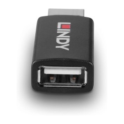 LINDY USB 2.0 Typ A an A Datenblocker Battery Charging 1.2 — Buy in Cyprus with Fast Delivery