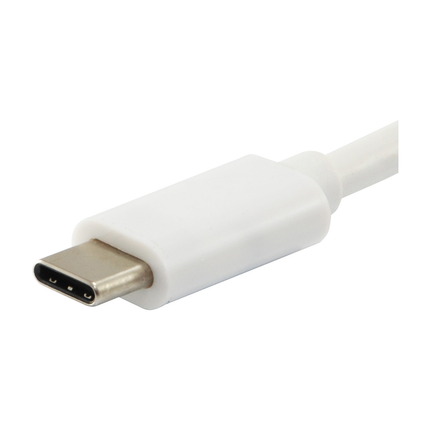 Equip Kabel USB-C 3.2 - to C Plat. St St 2.00m 3A 4K 60Hz ws Polybeutel — Buy in Cyprus with Fast Delivery