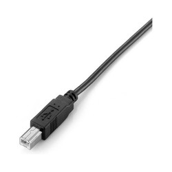 Equip USB Kabel 2.0 A-B St St 2.00m schwarz Polybeutel — Buy in Cyprus with Fast Delivery