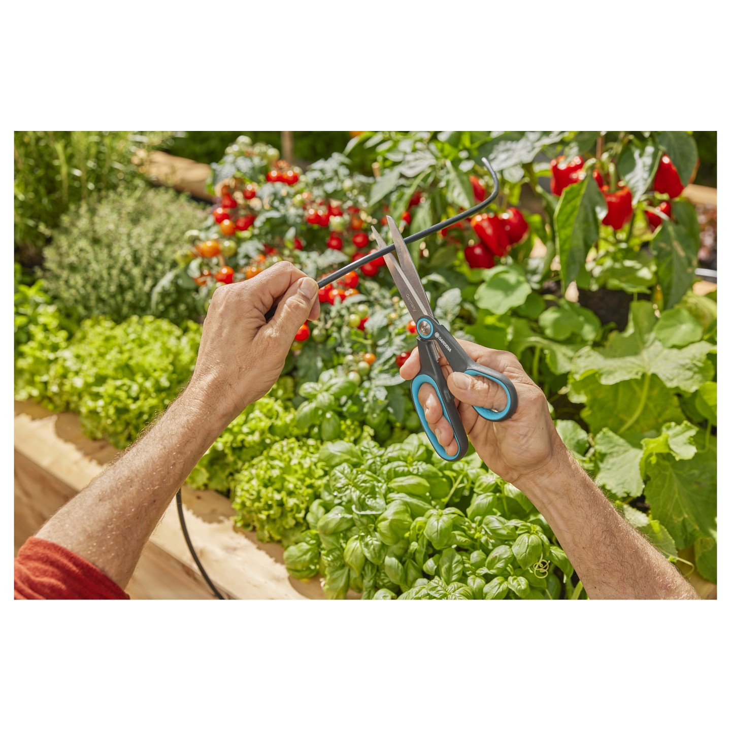 Gardena Solar-Bewässerung AquaBloom L Set — Buy in Cyprus with Fast Delivery