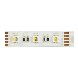 Synergy 21 LED Flex Strip 5050 - 60 RGB DC24V + RGB-W one chip nw IP20 — Buy in Cyprus with Fast Delivery