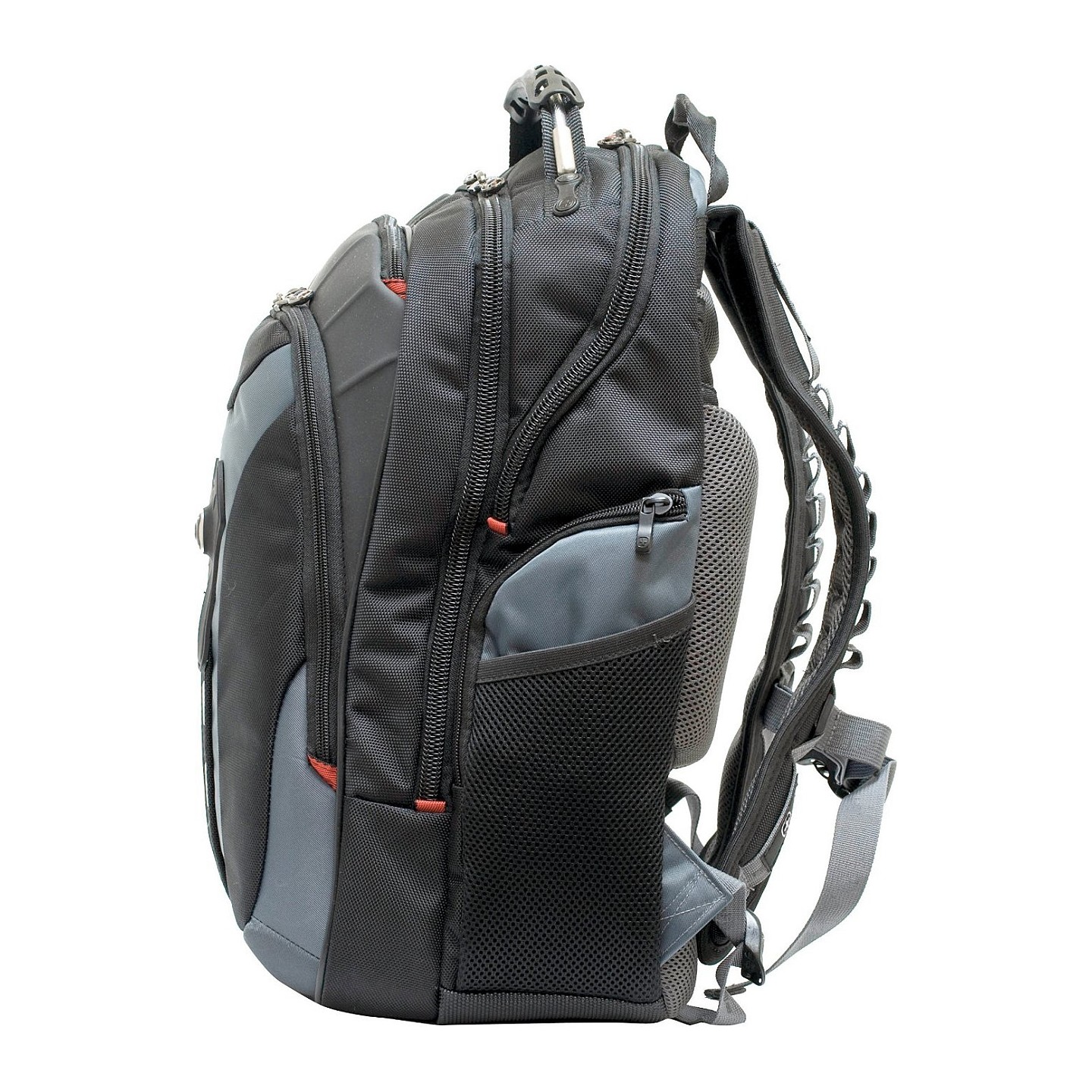 WENGER Pegasus Notebook Backpack for 15.6 - 43.9cm 15.6 - 17.3inch Tablet. Laptop blue — Buy in Cyprus with Fast Delivery