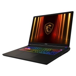MSI Vector 17 HX AI A2XWHG-041 (grau. Intel Core? Ultra 9 275HX. NVIDIA GeForce RTX 5070 Ti. 32 GB DDR5. 2 TB (2 TB S...